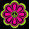 hypsterdaisy