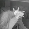 333