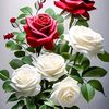 user68162820246710