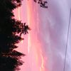 ttvezedub1