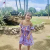 amaraced_04