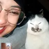ahlamisarra