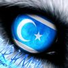 fatmaalya645