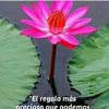 user7213367850962
