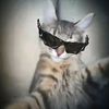 dr.jenazahran2