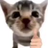 onepta2