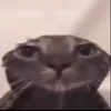woonxtdoor