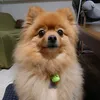 630riku