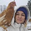 egghead_homestead