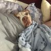 hobbiechronicallyunwell