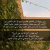 ahmed_m071