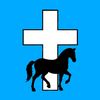 religious_.equestrian