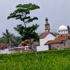 siswanto12170