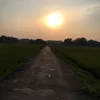 bn.nh.nng7