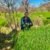 dinbabrai
