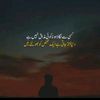 user61naveed