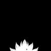 __mhmdshyrull1