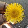 mahmoudmando798