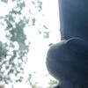great_soon