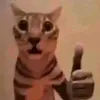 kupalsheeesh