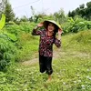 le_minh716