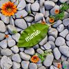 mimiemilliion