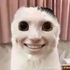 wynhuong_02