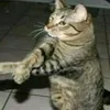 espawsm