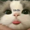 dy9w0rzwixch