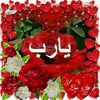 dy9wo9umh3ei