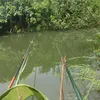 ngandaifishing