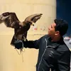 aa_20am