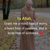 sumaya.ahmed56