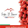 sottoovesuvio