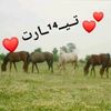 kassimo__14