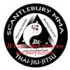 Thaijiujitsu MMA