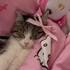 7_ayuly_7
