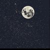 majid_q5