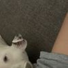 slumppro