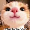 nevani._.gruts