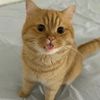 hello_2542