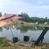 oaidolce
