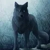 iftarwolf
