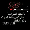 dyea2elz6431