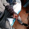 cri_gav_2007