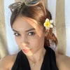 dearnovaa