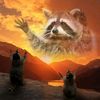 raccoon.evg