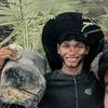 darmawanto.melano