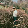 laphong.caption