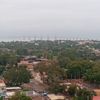 gaviotame2